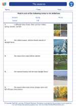 The seasons. 1st Grade Science Worksheets and Answer keys, Study Guides