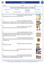 Fossils. 8th Grade Science Worksheets and Answer key, Study Guides and