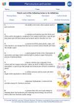 Classification of plants wikipedia image