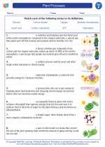 Science - Sixth Grade - Vocabulary: Plant Processes