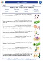 Science - Sixth Grade - Vocabulary: Plant Processes