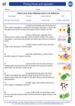 Biology - High School - Vocabulary: Photosynthesis and respiration