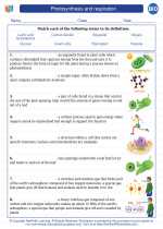 Biology - High School - Vocabulary: Photosynthesis and respiration
