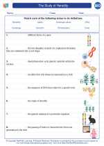 Biology - High School - Vocabulary: The Study of Heredity