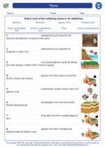 rocks 8th grade science worksheets and answer key study