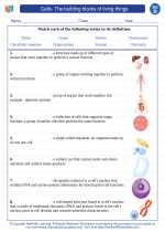 Science - Fourth Grade - Vocabulary: Cells- The building blocks of living things