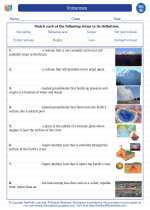 volcanoes 8th grade science worksheets answer key and