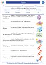 Biology - High School - Vocabulary: Mitosis