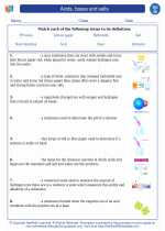 Chemistry - High School - Vocabulary: Acids, bases and salts