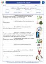 Science - Sixth Grade - Vocabulary: Introduction to Animals