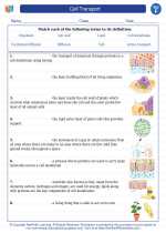 Cell Transport. 6th Grade Science Worksheets, Vocabulary Sets and