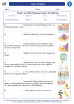 cell transport 6th grade science worksheets vocabulary sets and