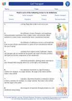 Science - Sixth Grade - Vocabulary: Cell Transport