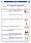 Biology - High School - Vocabulary: Human biology I