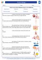 Biology - High School - Vocabulary: Human biology I