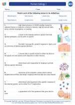 Biology - High School - Vocabulary: Human biology I