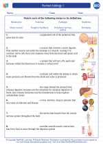 Biology - High School - Vocabulary: Human biology I