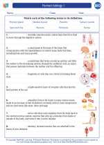 Biology - High School - Vocabulary: Human biology I