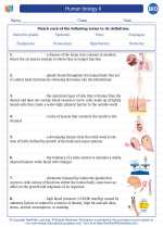 Biology - High School - Vocabulary: Human biology II