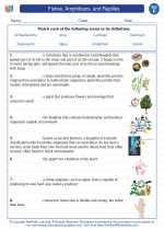 Fishes, Amphibians, and Reptiles. 6th Grade Science Worksheets and ...