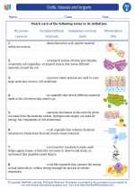 Science - Fifth Grade - Vocabulary: Cells, tissues and organs