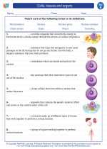 Science - Fifth Grade - Vocabulary: Cells, tissues and organs