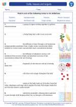 Science - Fifth Grade - Vocabulary: Cells, tissues and organs