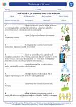 bacteria and viruses 7th grade science worksheets and answer key study guides and vocabulary sets