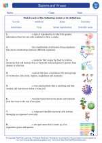 Science - Seventh Grade - Vocabulary: Bacteria and Viruses