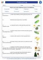 Science - Seventh Grade - Vocabulary: Protists and Fungi