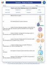 Science - Sixth Grade - Vocabulary: Genetics - Study of Heredity