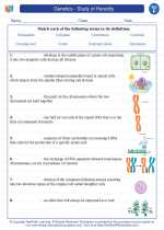 genetics study of heredity 6th grade science worksheets and answer