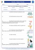 Science - Sixth Grade - Vocabulary: Genetics - Study of Heredity