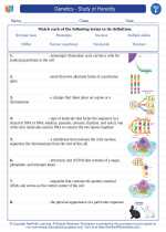genetics study of heredity 6th grade science worksheets and answer