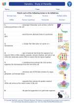 Science - Sixth Grade - Vocabulary: Genetics - Study of Heredity