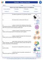 Science - Sixth Grade - Vocabulary: Genetics - Study of Heredity