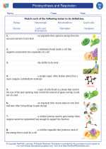 Science - Seventh Grade - Vocabulary: Photosynthesis and Respiration