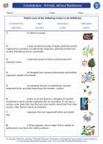 Science - Fourth Grade - Vocabulary: Invertebrates - Animals  without Backbones