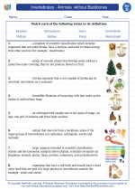 Science - Fourth Grade - Vocabulary: Invertebrates - Animals  without Backbones