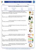 Science - Fourth Grade - Vocabulary: Invertebrates - Animals  without Backbones