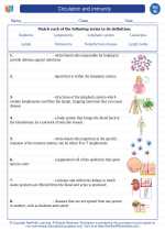 Science - Eighth Grade - Vocabulary: Circulation and immunity