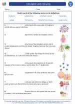 Science - Eighth Grade - Vocabulary: Circulation and immunity