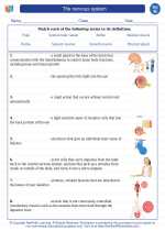 Science - Eighth Grade - Vocabulary: The nervous system