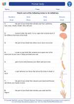 Science - First Grade - Vocabulary: Human body