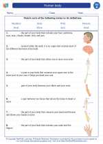 Human body. 1st Grade Science Worksheets and Answer keys, Study Guides