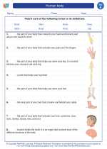 Human body. 1st Grade Science Worksheets and Answer keys, Study Guides