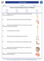 Science - First Grade - Vocabulary: Human body