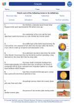 Earth Science - High School - Vocabulary: Oceans