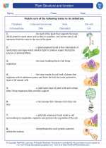 plant structure and function worksheet