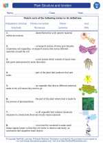 Science - Fourth Grade - Vocabulary: Plant Structure and function